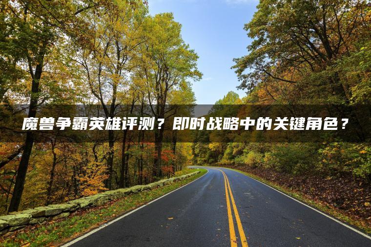 魔兽争霸英雄评测？即时战略中的关键角色？