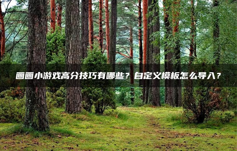 画画小游戏高分技巧有哪些？自定义模板怎么导入？