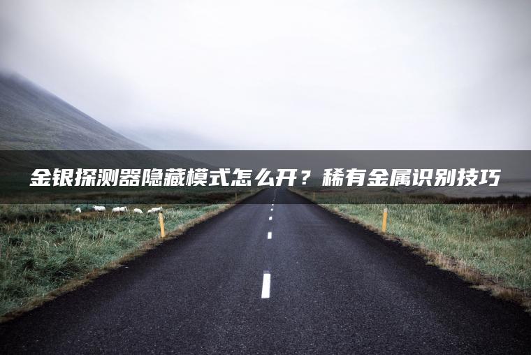 金银探测器隐藏模式怎么开？稀有金属识别技巧