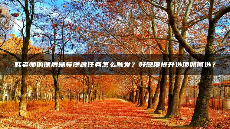 韩老师的课后辅导隐藏任务怎么触发？好感度提升选项如何选？