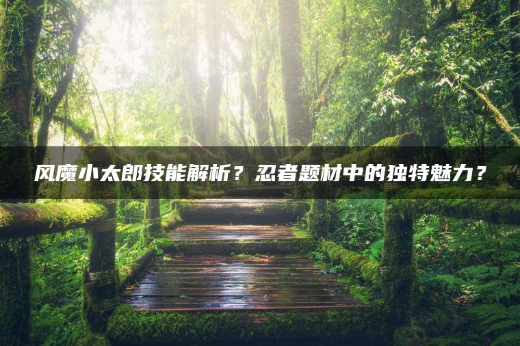 风魔小太郎技能解析？忍者题材中的独特魅力？