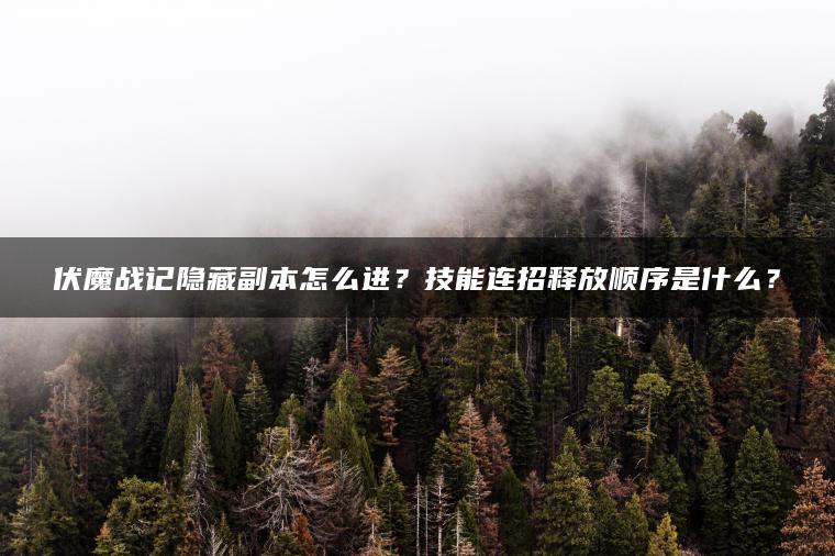 伏魔战记隐藏副本怎么进？技能连招释放顺序是什么？