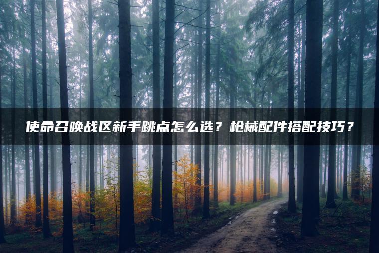 使命召唤战区新手跳点怎么选？枪械配件搭配技巧？