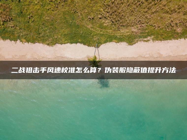 二战狙击手风速校准怎么算？伪装服隐蔽值提升方法