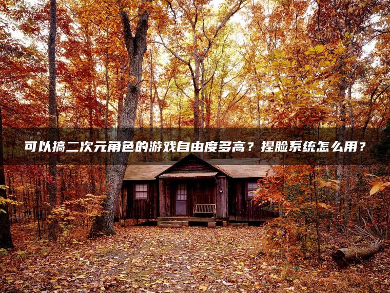 可以搞二次元角色的游戏自由度多高？捏脸系统怎么用？