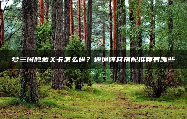 梦三国隐藏关卡怎么进？速通阵容搭配推荐有哪些