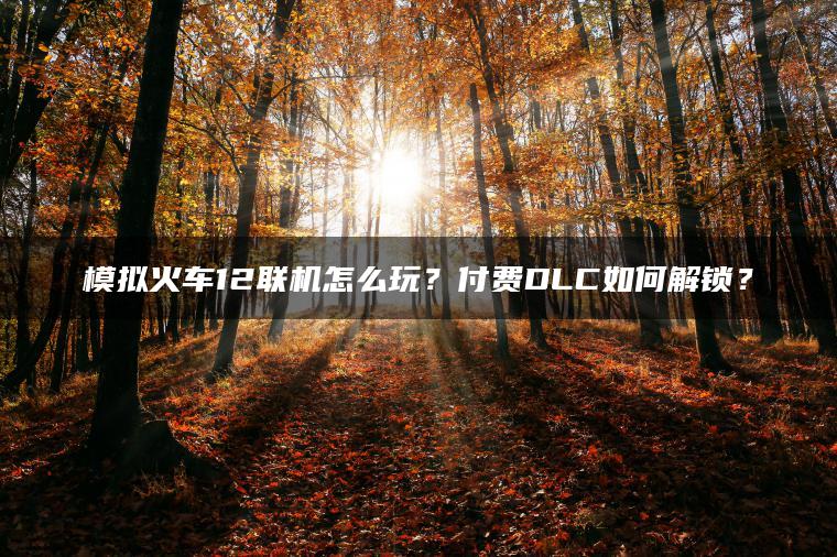 模拟火车12联机怎么玩？付费DLC如何解锁？
