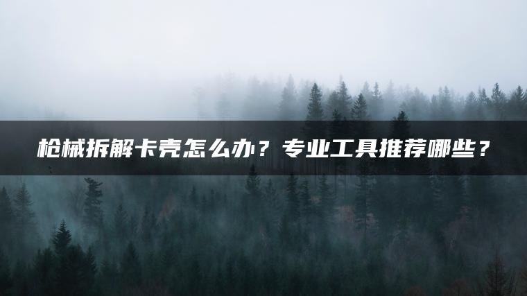 枪械拆解卡壳怎么办？专业工具推荐哪些？