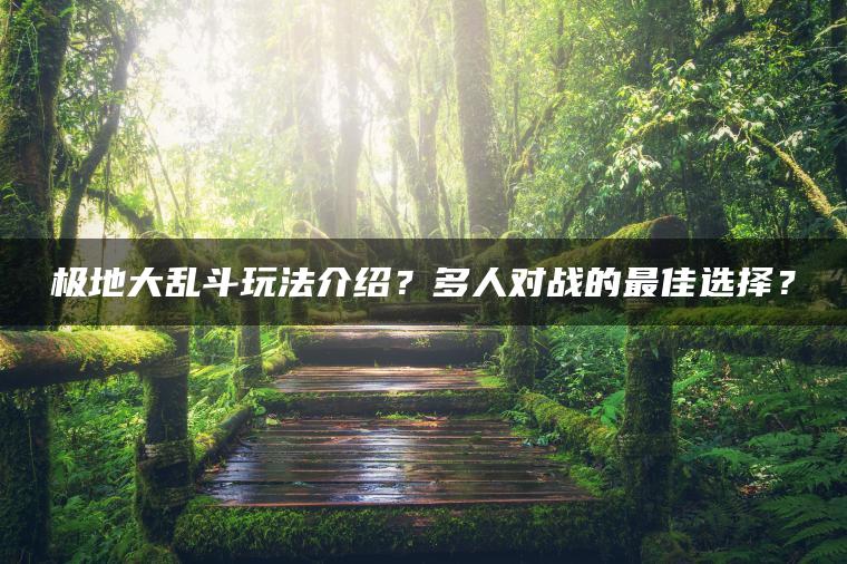 极地大乱斗玩法介绍？多人对战的最佳选择？