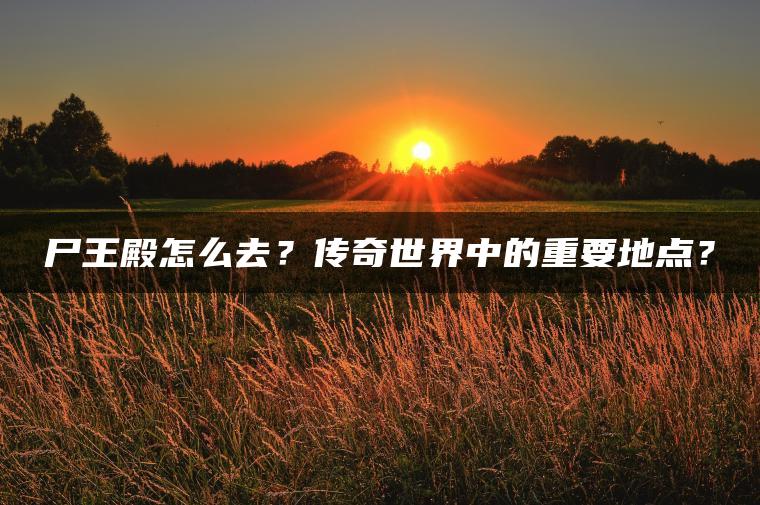 尸王殿怎么去？传奇世界中的重要地点？