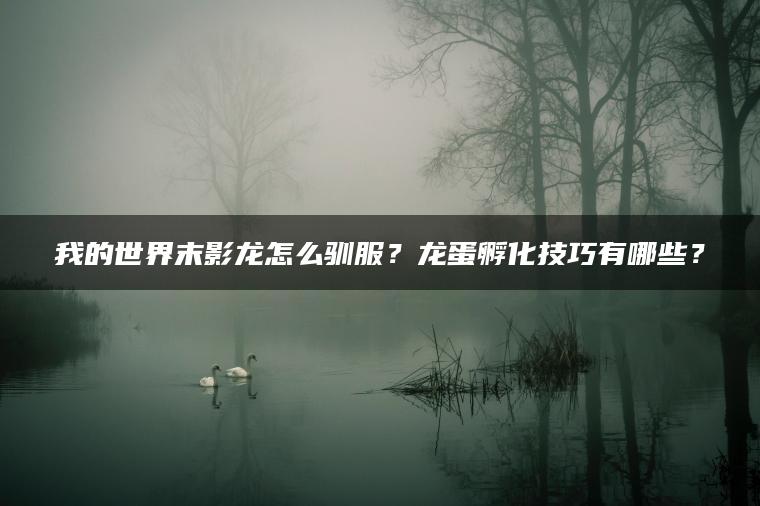 我的世界末影龙怎么驯服？龙蛋孵化技巧有哪些？