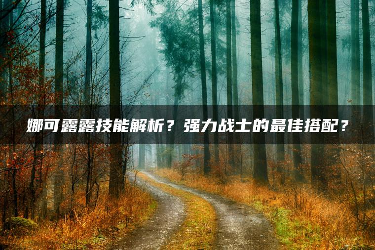 娜可露露技能解析？强力战士的最佳搭配？