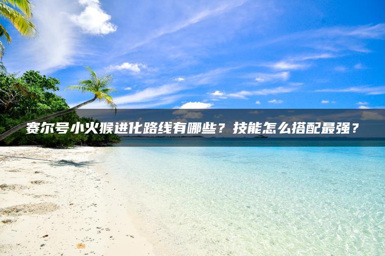 赛尔号小火猴进化路线有哪些？技能怎么搭配最强？