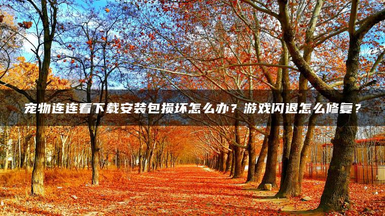 宠物连连看下载安装包损坏怎么办？游戏闪退怎么修复？