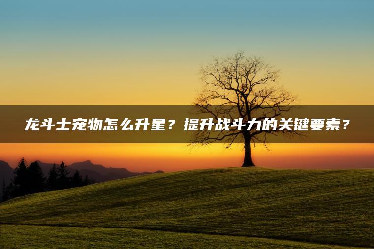 龙斗士宠物怎么升星？提升战斗力的关键要素？