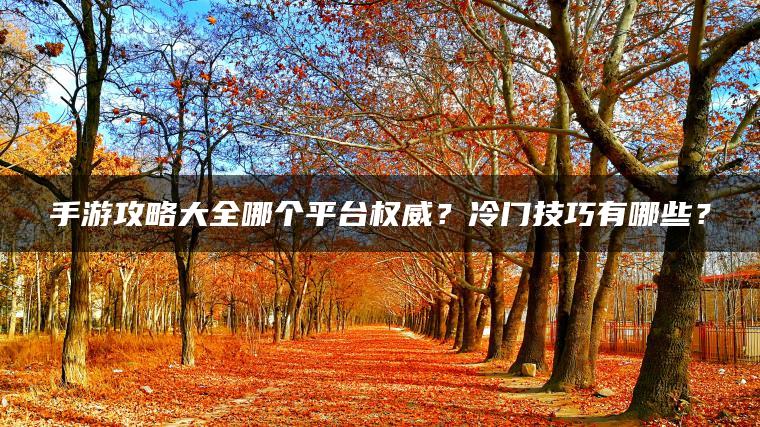 手游攻略大全哪个平台权威？冷门技巧有哪些？