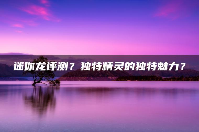 迷你龙评测？独特精灵的独特魅力？