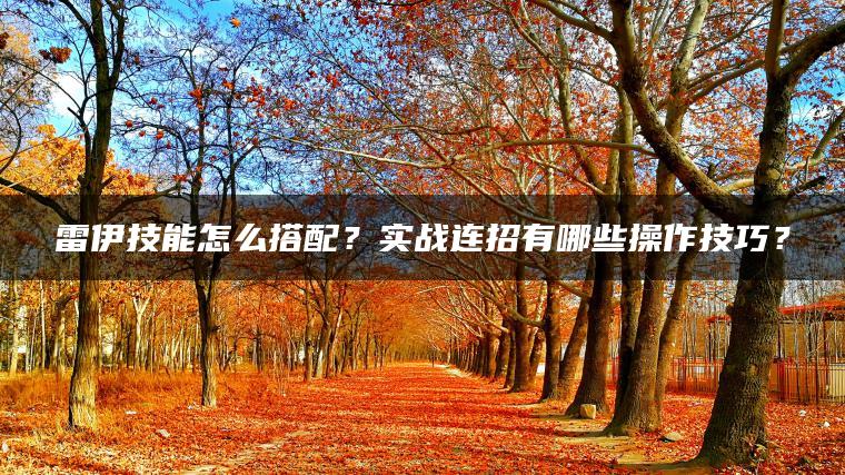 雷伊技能怎么搭配？实战连招有哪些操作技巧？