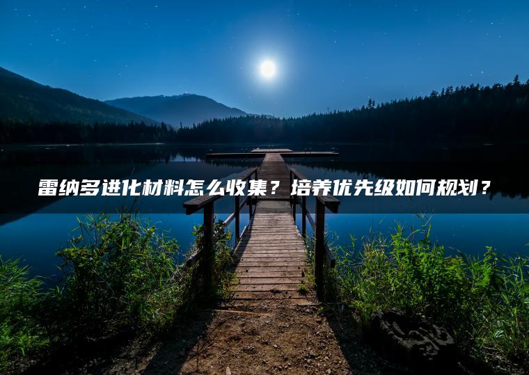 雷纳多进化材料怎么收集？培养优先级如何规划？