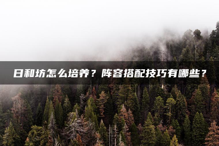 日和坊怎么培养？阵容搭配技巧有哪些？
