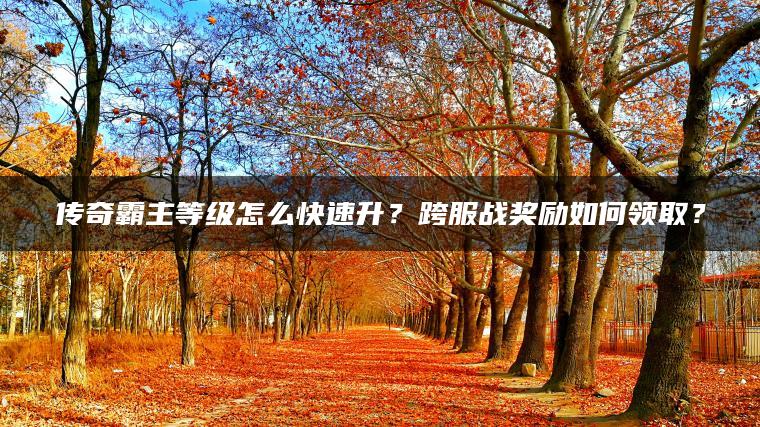 传奇霸主等级怎么快速升？跨服战奖励如何领取？