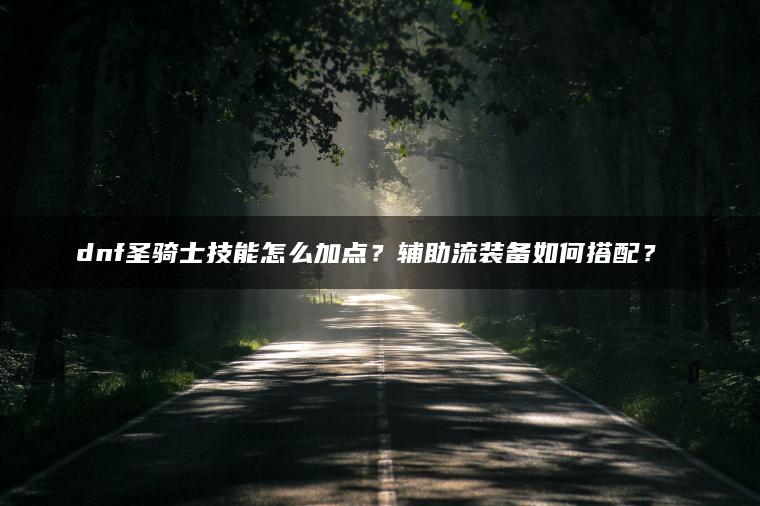 dnf圣骑士技能怎么加点？辅助流装备如何搭配？​​