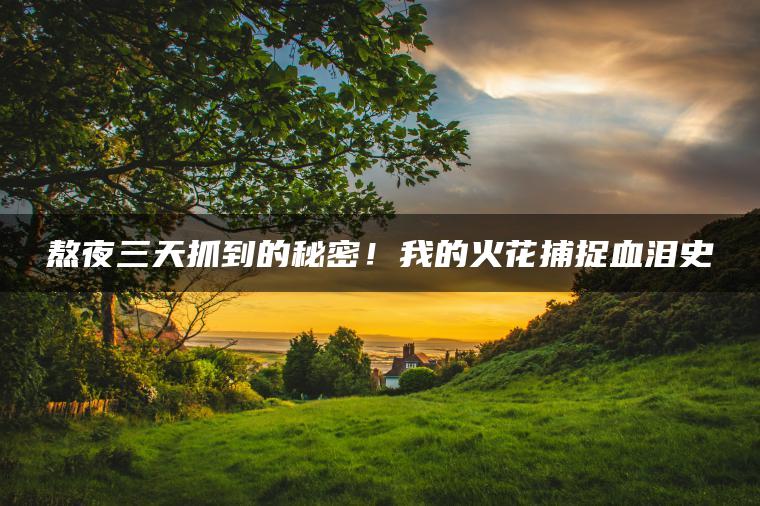 熬夜三天抓到的秘密！我的火花捕捉血泪史
