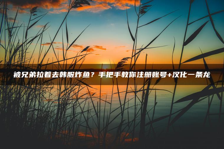 被兄弟拉着去韩服炸鱼？手把手教你注册账号+汉化一条龙
