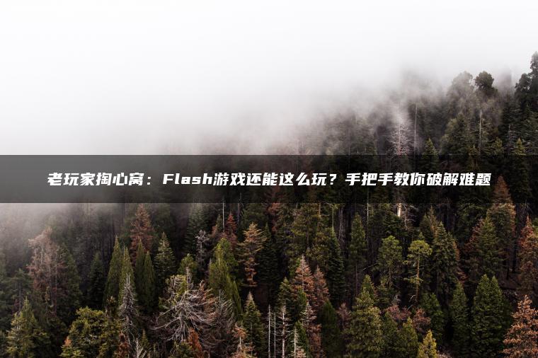 老玩家掏心窝：Flash游戏还能这么玩？手把手教你破解难题