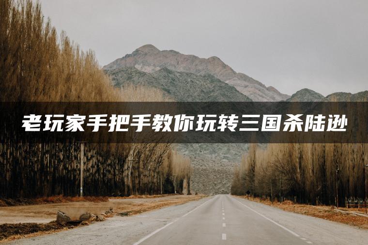 老玩家手把手教你玩转三国杀陆逊