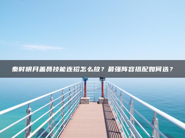 秦时明月盖聂技能连招怎么放？最强阵容搭配如何选？