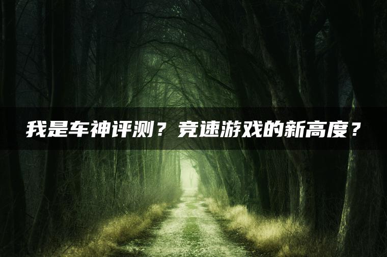 我是车神评测？竞速游戏的新高度？