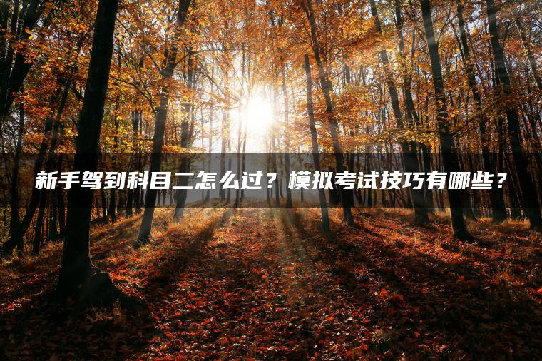 新手驾到科目二怎么过？模拟考试技巧有哪些？