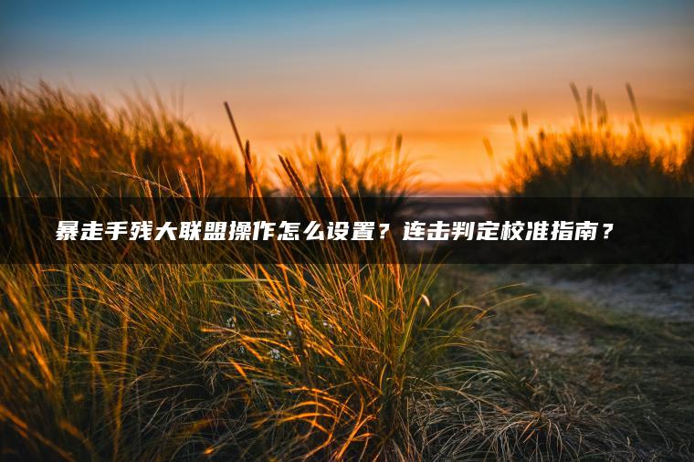 暴走手残大联盟操作怎么设置？连击判定校准指南？​​