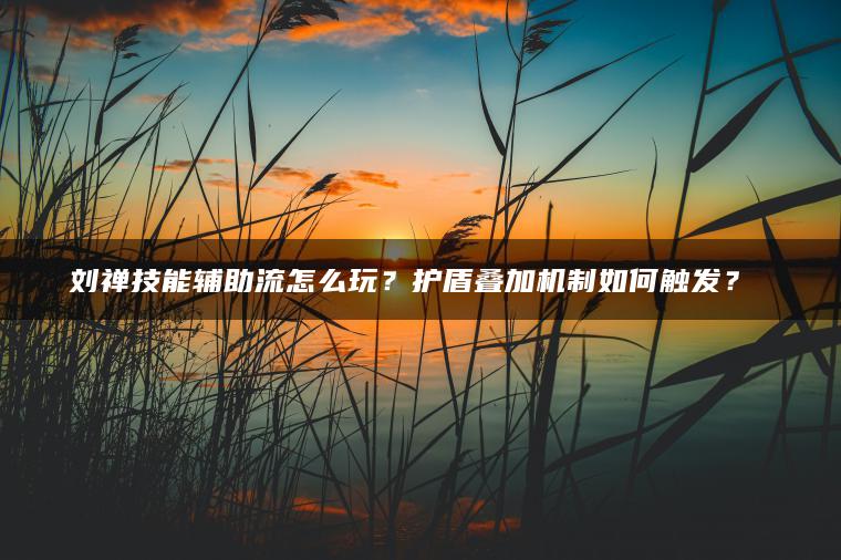 刘禅技能辅助流怎么玩？护盾叠加机制如何触发？​​