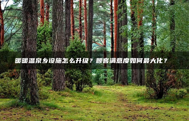 暖暖温泉乡设施怎么升级？顾客满意度如何最大化？​​